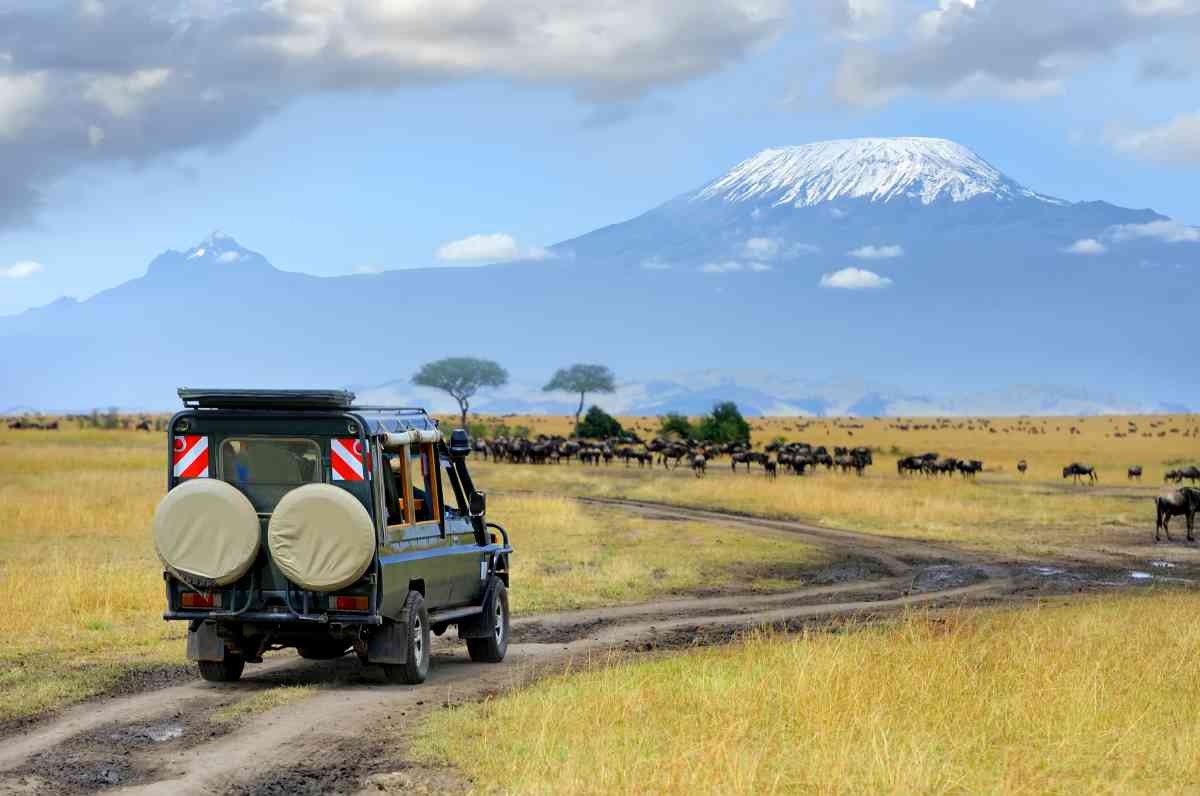 Return to Kenya and Amboseli National Park