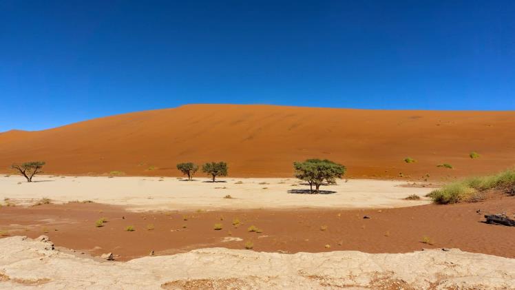 Jour 16 Sossusvlei 180 km
