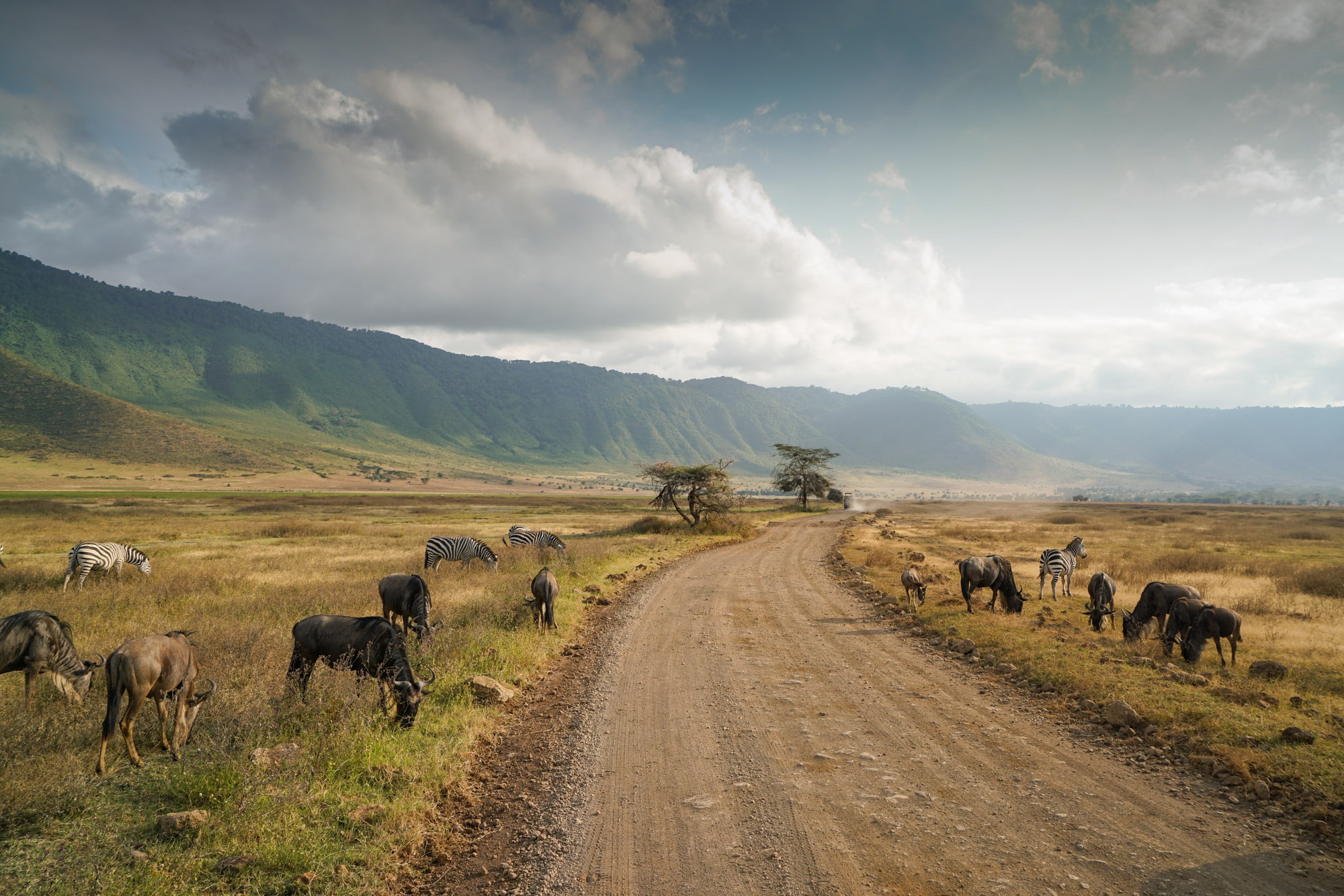 The Serengeti to Ngorongoro Conservation Area