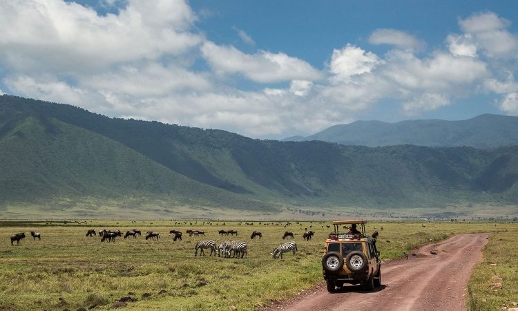 The Serengeti to Ngorongoro Conservation Area