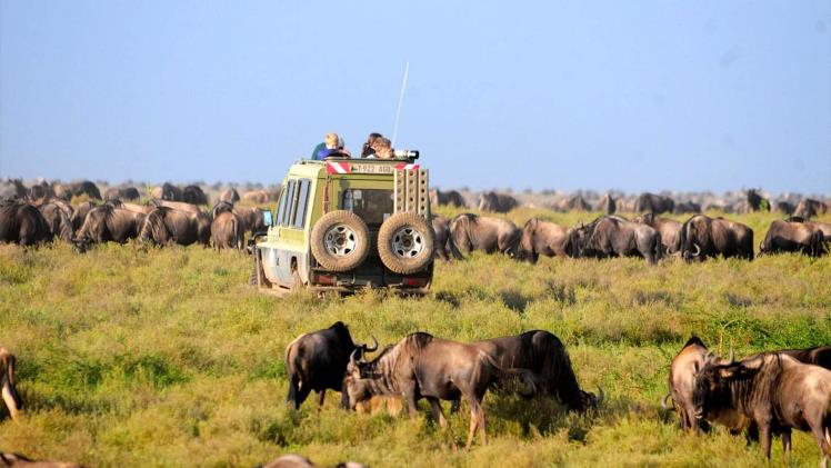 The Serengeti to Ngorongoro Conservation Area