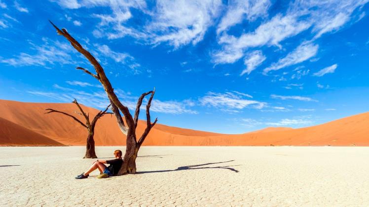 Jour 15 Desert Du Namib 370 Km namib